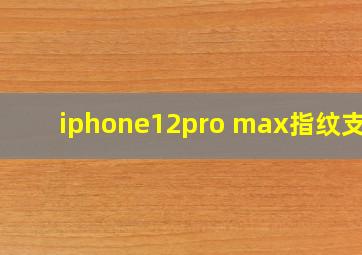 iphone12pro max指纹支付